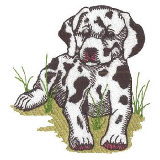 Picture of Dalmatian Machine Embroidery Design