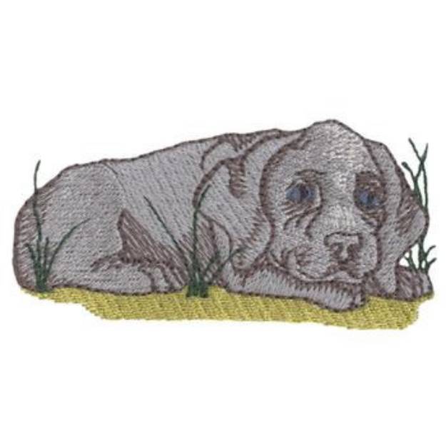 Picture of Weimaraner Machine Embroidery Design