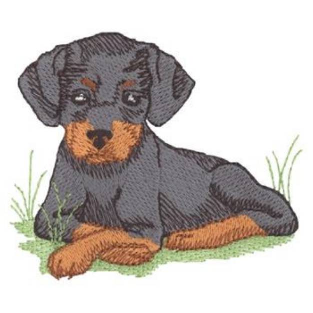 Picture of Doberman Machine Embroidery Design