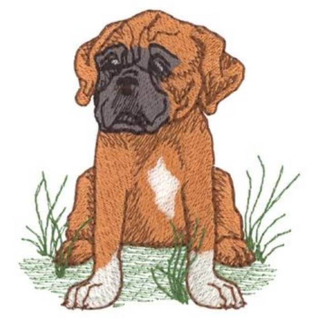 Picture of Boxer Machine Embroidery Design