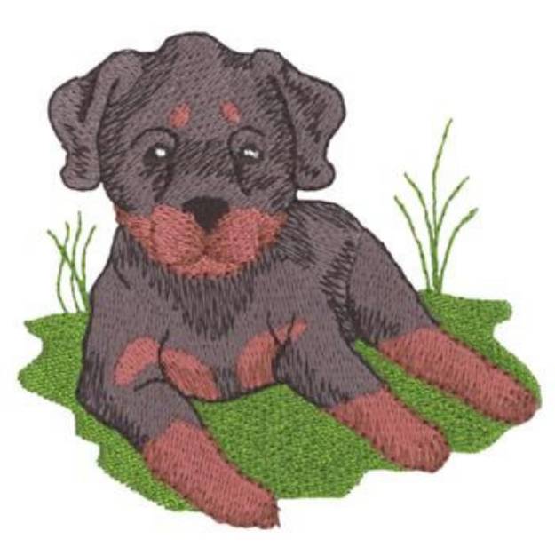 Picture of Rottweiler Machine Embroidery Design