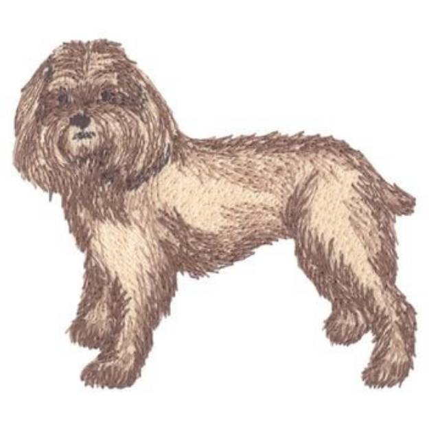 Picture of Cockapoo Machine Embroidery Design