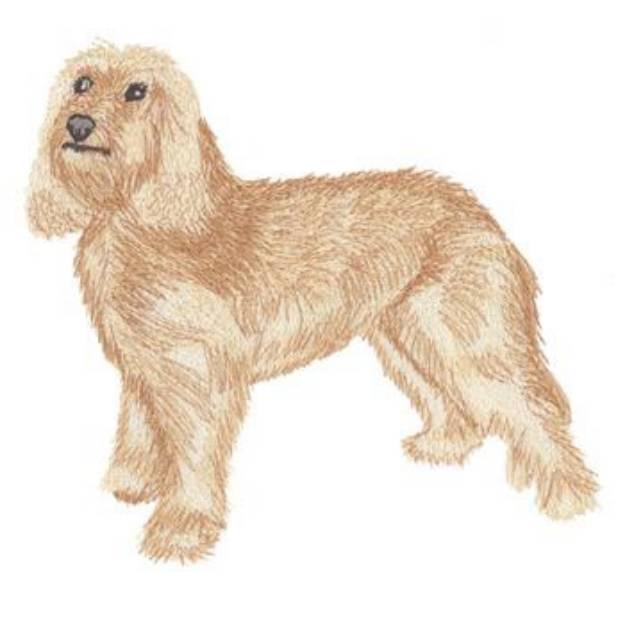 Picture of Cockapoo Machine Embroidery Design