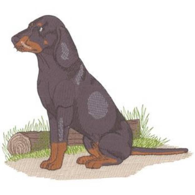 Picture of Black & Tan Coonhound Machine Embroidery Design