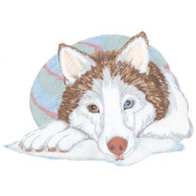 Picture of Siberian Husky Machine Embroidery Design