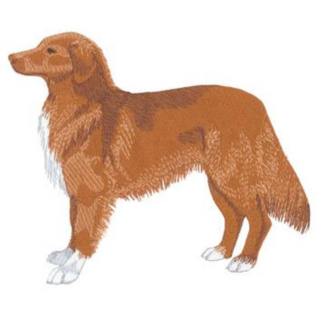 Picture of Nova Scotia Duck Toller Machine Embroidery Design