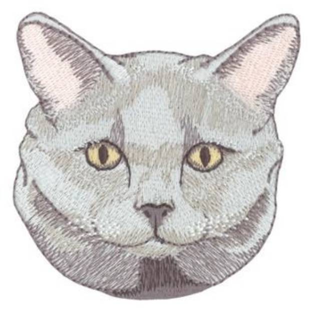 Picture of Chartreux Cat Machine Embroidery Design