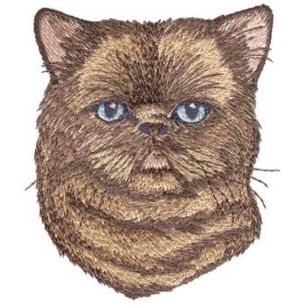 Picture of Exotic Shorthair Sealpoint Machine Embroidery Design