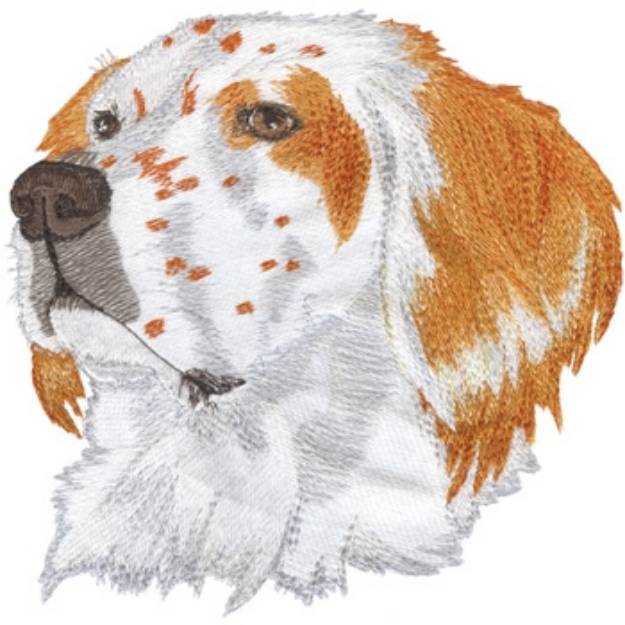 Picture of English Setter Machine Embroidery Design