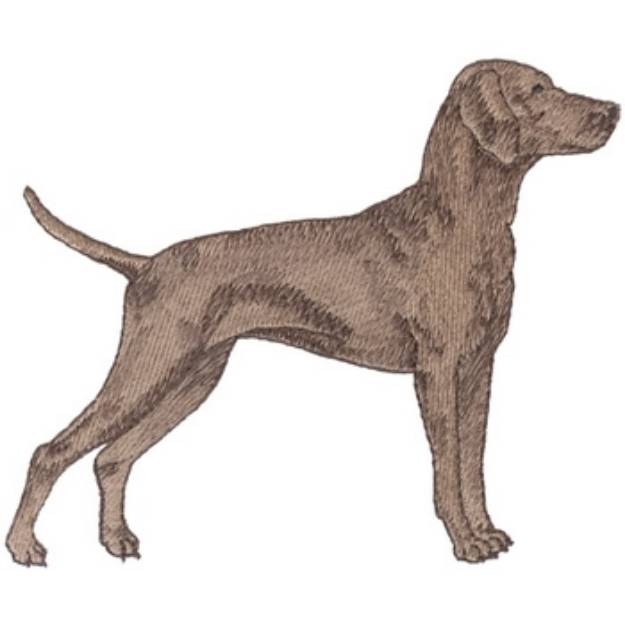 Picture of Hungarian Vizsla Machine Embroidery Design