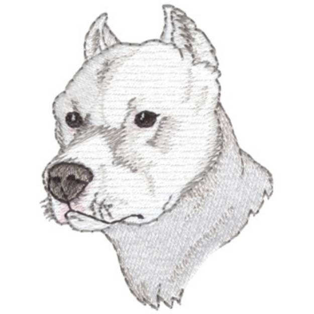 Picture of Argentine Dogo Machine Embroidery Design