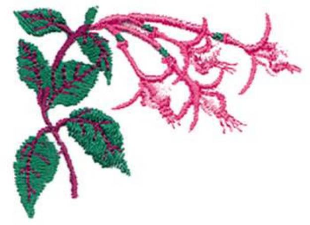 Picture of Fuchsia Machine Embroidery Design