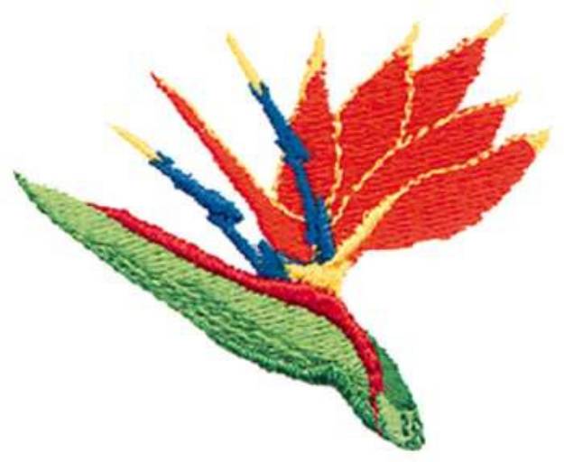 Picture of Bird Of Paradise Machine Embroidery Design