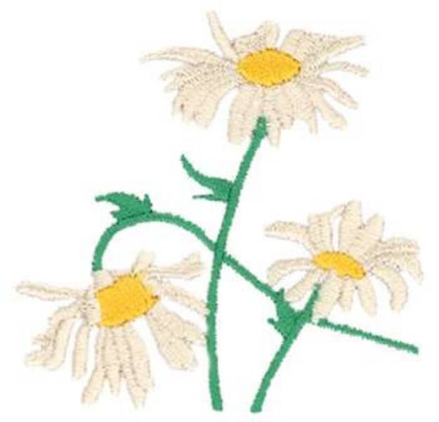 Picture of Field Daisies Machine Embroidery Design