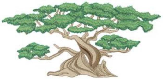 Picture of Bonsai Tree Machine Embroidery Design