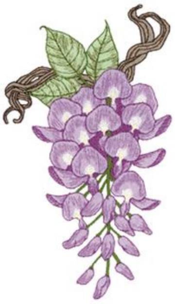 Picture of Wisteria Machine Embroidery Design