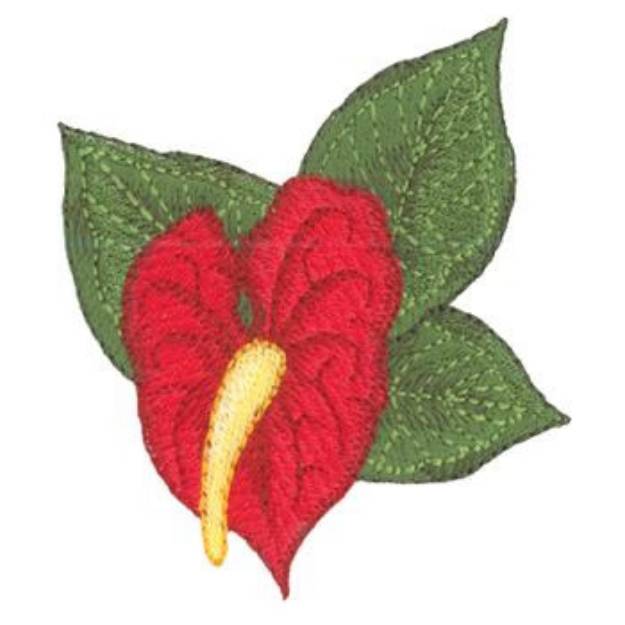 Picture of Anthurium Machine Embroidery Design