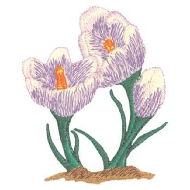 Picture of Crocus Machine Embroidery Design