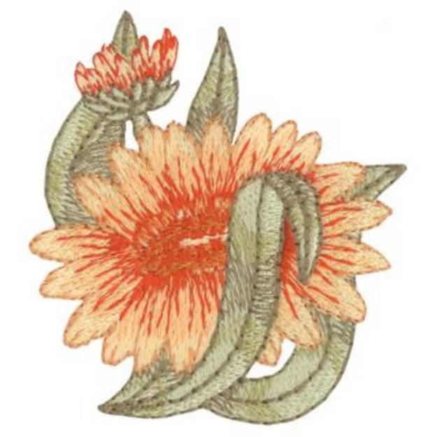 Picture of Indian Blanket Machine Embroidery Design