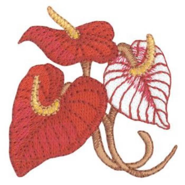 Picture of Anthurium Machine Embroidery Design