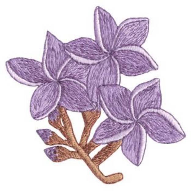 Picture of Plumeria Machine Embroidery Design