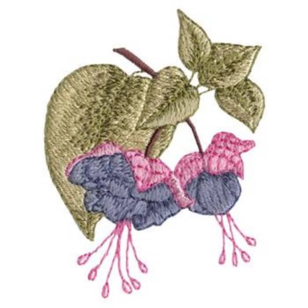 Picture of Fuchsia Machine Embroidery Design