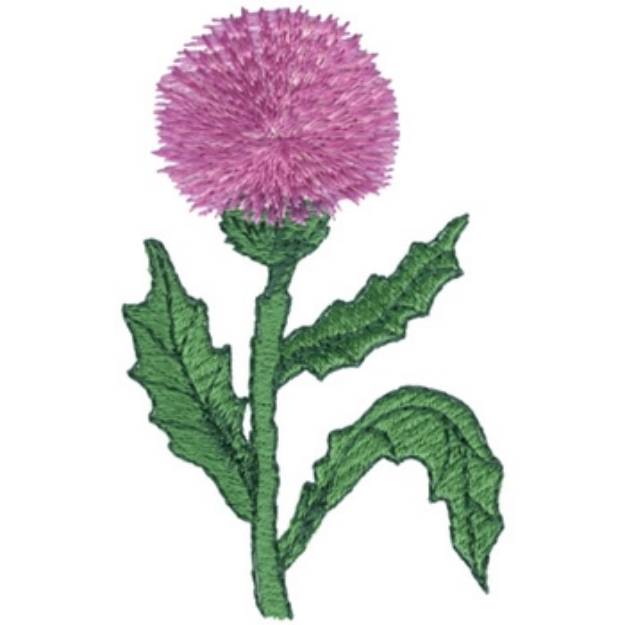 Picture of Thistle Machine Embroidery Design