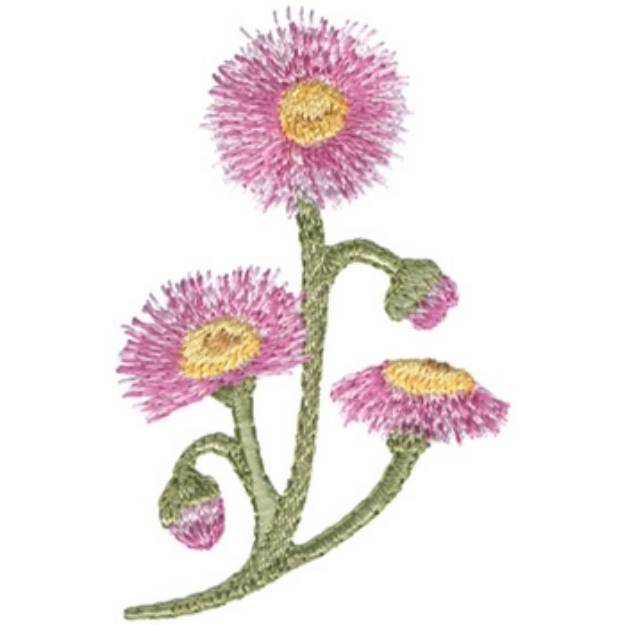 Picture of Daisy Fleabane Machine Embroidery Design