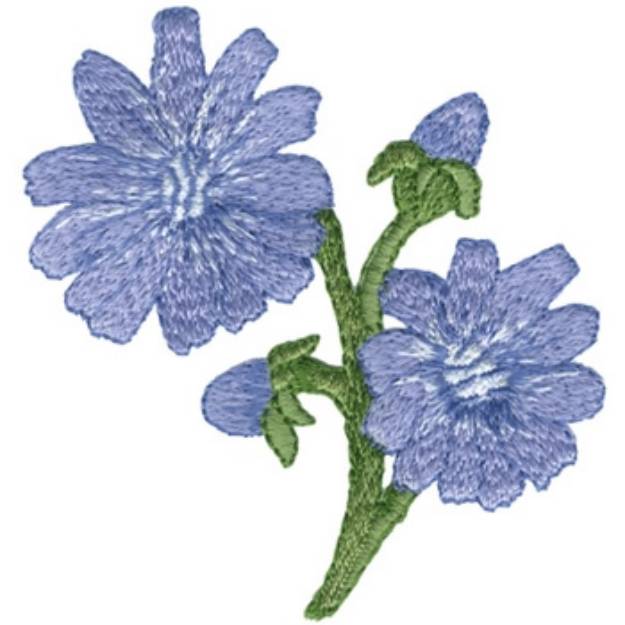 Picture of Chicory Machine Embroidery Design