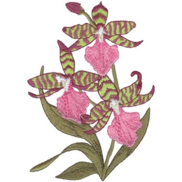 Picture of Odontoglossum Violetta Machine Embroidery Design