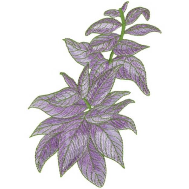 Picture of Persian Shield Machine Embroidery Design