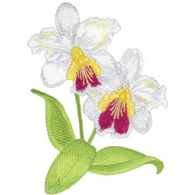 Picture of Cattleya Orchids Machine Embroidery Design