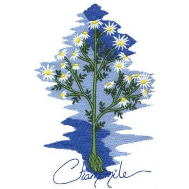 Picture of Chamomile Machine Embroidery Design