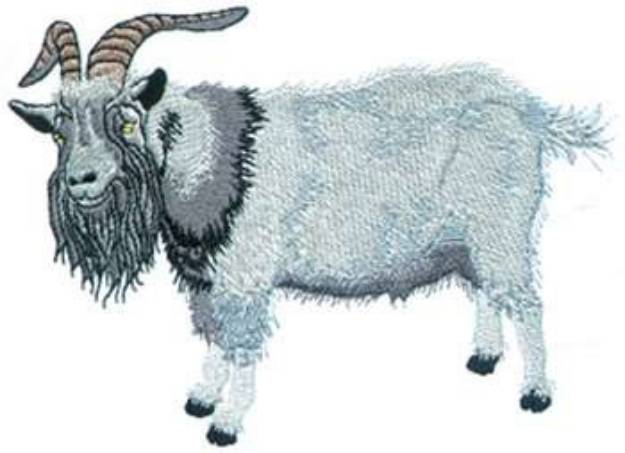 Picture of Pygmy Goat Machine Embroidery Design