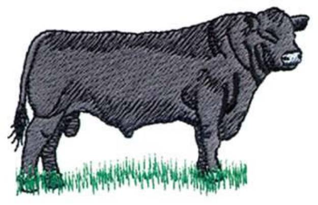 Picture of Angus Bull Machine Embroidery Design