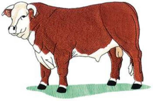 Picture of Here Bull Machine Embroidery Design