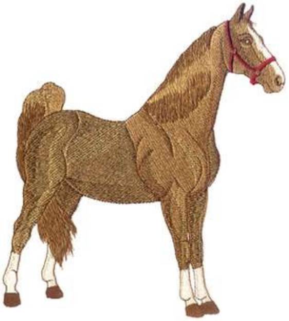 Picture of Saddlebred Machine Embroidery Design