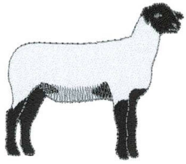 Picture of Sheared Suffolk Machine Embroidery Design