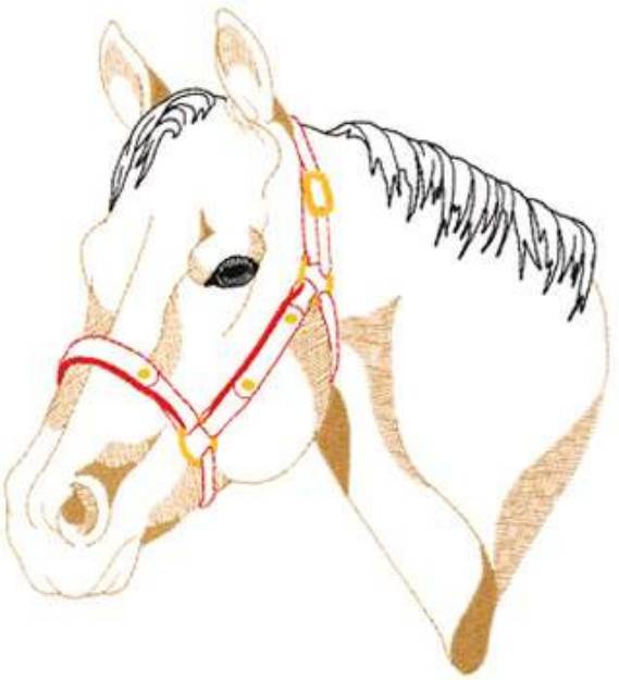 Picture of Quarter Horse Outline Machine Embroidery Design