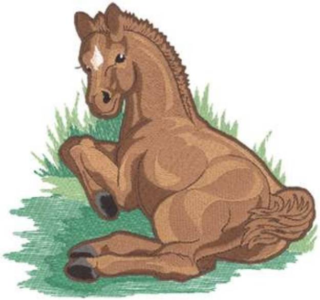 Picture of Foal Machine Embroidery Design