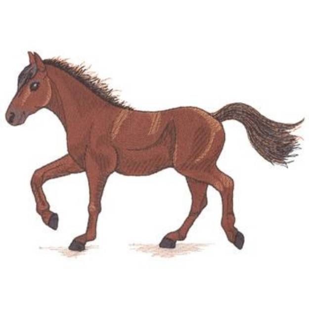 Picture of Morgan Horse Machine Embroidery Design