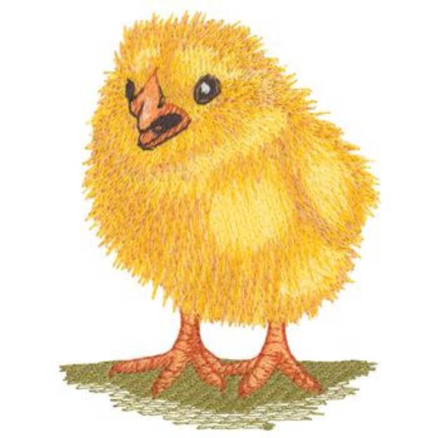 Picture of Baby Chick Machine Embroidery Design