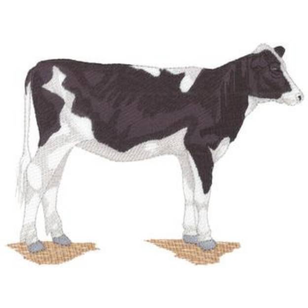 Picture of Yearling Cow Machine Embroidery Design