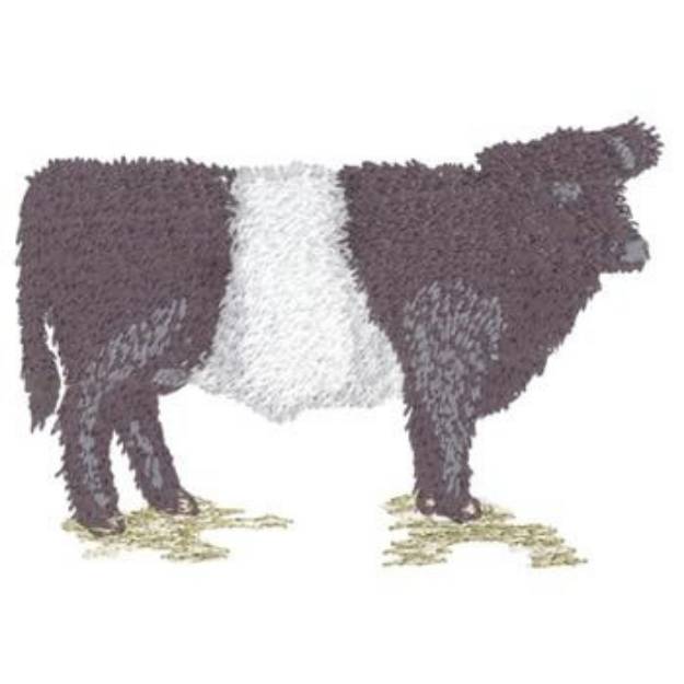 Picture of Belted Galloway Machine Embroidery Design