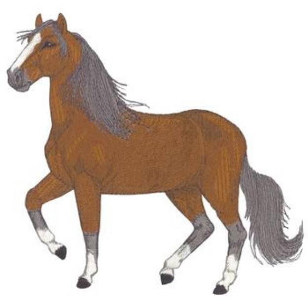 Picture of Paso Fino Machine Embroidery Design