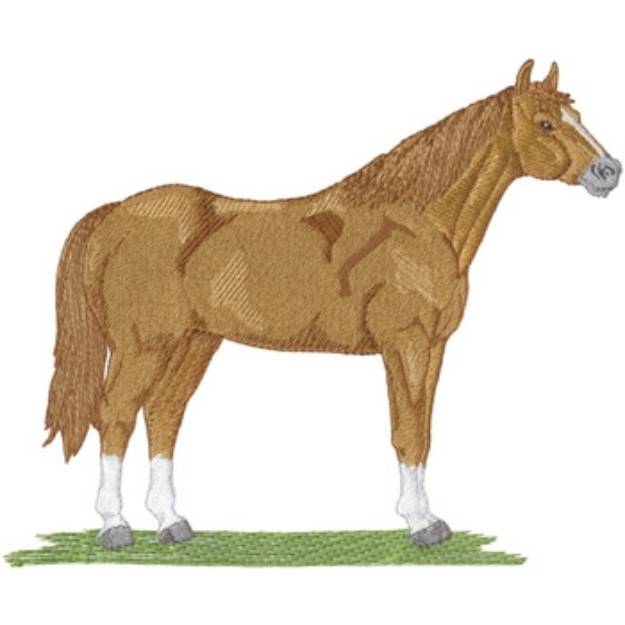 Picture of Quarter Horse Machine Embroidery Design