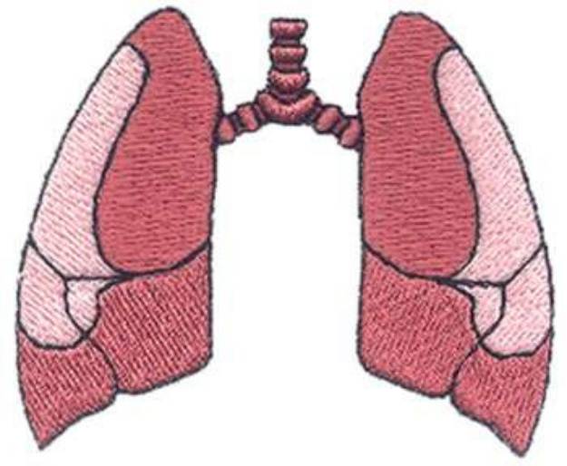 Picture of Human Lungs Machine Embroidery Design