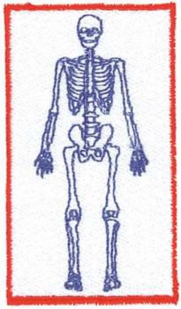 Picture of Skeleton Machine Embroidery Design