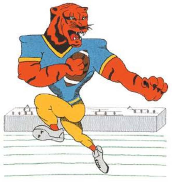 Picture of Football Tiger Machine Embroidery Design