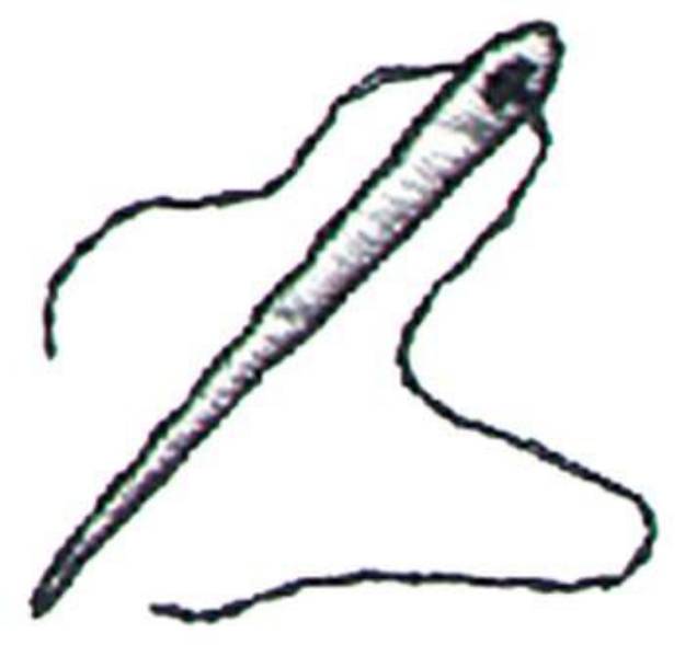 Picture of 1" Needle W/thread Machine Embroidery Design